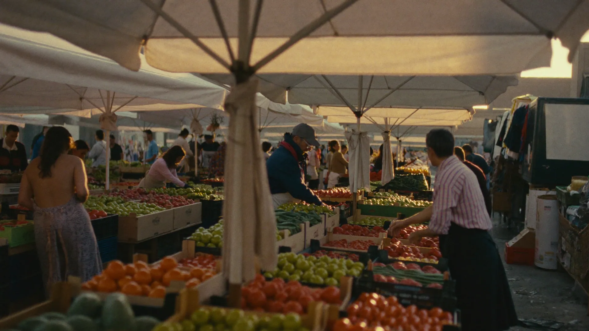 A morning market in the south of France, golden light through the stalls.